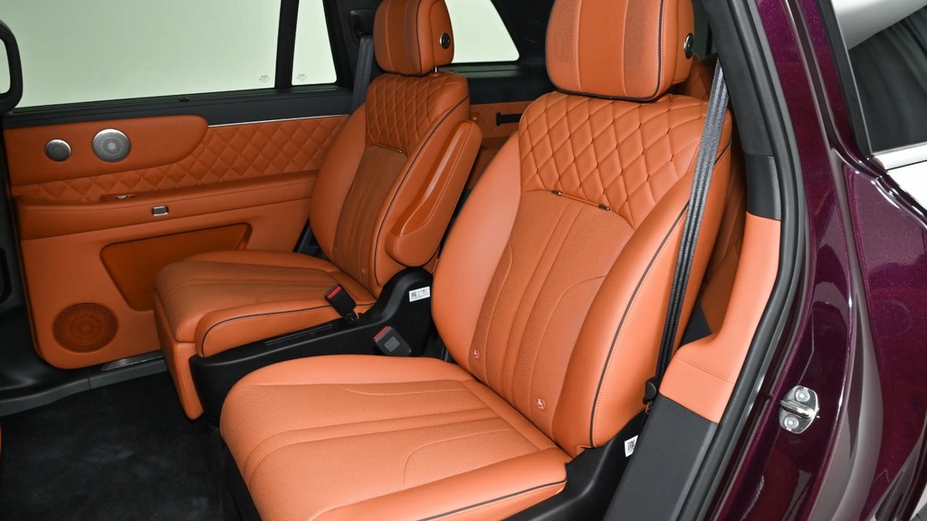 WEY V9X PHEV (13)