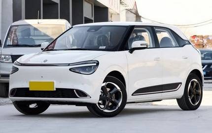 Dongfeng Yipai Nammi 01