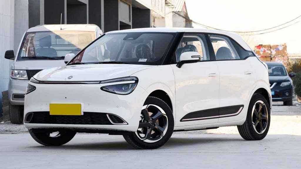Dongfeng Yipai Nammi 01