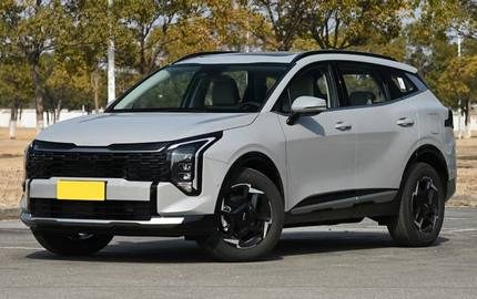 Kia Sportage (Lion Platinum)