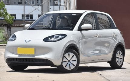 Wuling Bingo